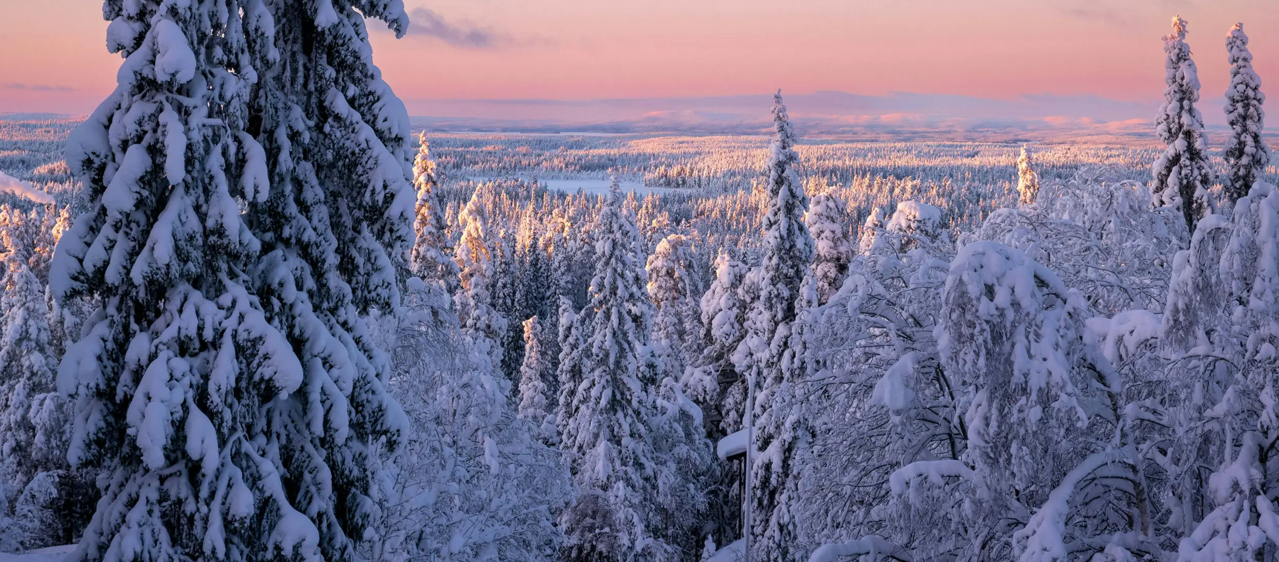 ニッポン・プロダクション・フィンランドの映像コーディネート会社